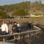 cambria_339 (November 03, 2018)